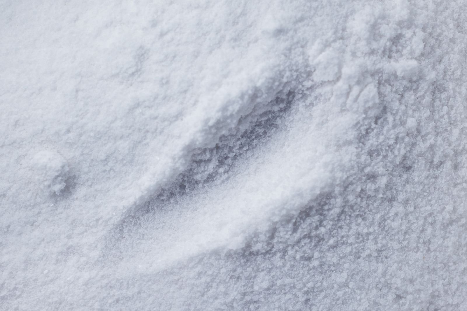 Fine white quartz powder filler